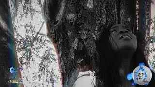 H&P PRODUCTIONS | SAKURA | UNCERTAINTY: THE SERIES | #Teaser