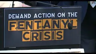 Deal paves way for special state assembly hearing to address fentanyl epidemic