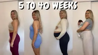 WEEK BY WEEK PREGNANT BELLY GROWTH | Week 5 to 40 Transformation