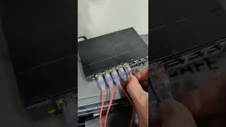 Ports going click on a Netgear Switch! #networking #shorts