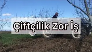 Ağaç Arası Izgara(Diskaro) Çekimi