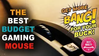ASUS CERBERUS  | BEST BUDGET GAMING MOUSE