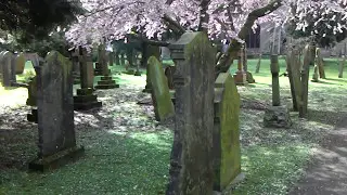 Haunted Graveyards : Knowle Parish Church