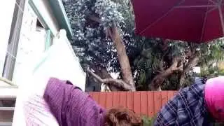 Miranda Sings Yoga Challenge