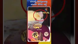 Human Finger Found in Mumbai Ice Cream | Idhu Sathya