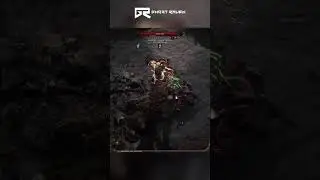 POE2 Bear Druid &ndash; BileSlicer Elite Fight #poe2