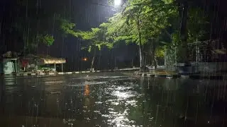 Beautiful Rain In A Park Street Makes You 99% Sleep Well | Rain Sounds For Sleeping