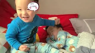 쌍둥이 낮잠