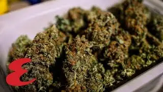 Why Smoking Tobacco is Worse Than Smoking Weed