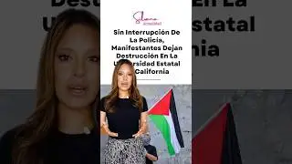 #noticias #propalestina #news #newsshorts # #periodista #tv #journalist #tvanchor #tvshow