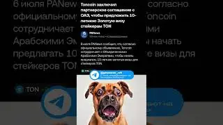 Золотая виза в ОАЭ за TON, но есть одно но... #telegram #crypto