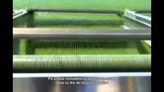 StemEnhance - Cum este fabricat?