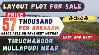 ✨️తిరుపతి,[LAYOUT PLOT FOR SALE],తిరుచనూర్ ముళ్ళపూడి దగ్గర,(57/-PER ANKANAM)☎️8555926756📞6300028667.