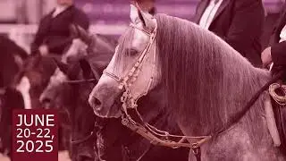 2025 Piedmont PFHA - The Legacy At Tryon 30sec promo