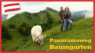 Panoramaweg Baumgarten | Schönster Blick auf den Bodensee 🇦🇹 [2,7K]