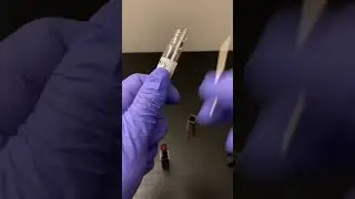 #hdi lipstick #science #shortsvideo #shortsfeed #fypシ #shortsviral #shortvideo #fact #amazing #fyp