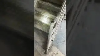 Urbex | Number one (discothèque)
