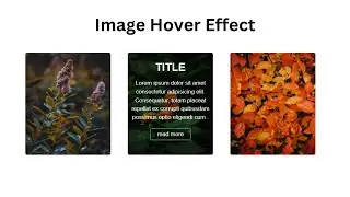 How to create image hover effect using html and css