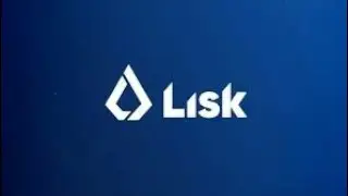 What is Lisk