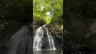 Spruce Flat Falls | Great Smoky Mountain, Tennessee