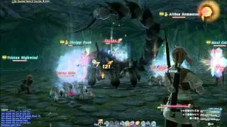 Final Fantasy XIV Totorak Boss