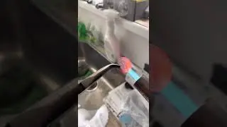 can a 5c coin be melted? #shorts