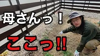 実家の母が花壇を作ってる事に気づいた息子の言動がヤバい　　【園芸超人カーメン君】