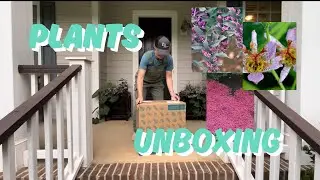 Great Garden Plants Unboxing