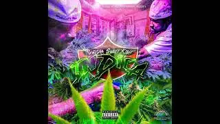 Swisha Sweet King - 