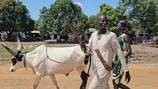 Ajuong-malual Bol Maguen Alam in Rumbek East,Aduel..