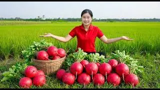 Full Videos -- Harvest 500kg Rare Kohlrabi After 100 Days Growing & Cooking Nourishing Winter Dishes