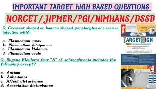 Norcet 2023 Important Questions| Target High Based important questions| ESIC|RRB|DSSB|JIPMER|NIMHANS