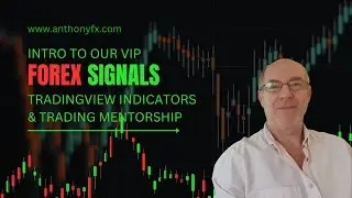 AnthonyFx VIP Intro Forex Signals - TradingView Indicators - Mentorship