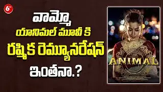 Rashmika Mandanna Remuneration For Animal Movie..? | Ranbir Kapoor | Sandeep Reddy Vanga |6TV