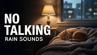 Cozy Night Rain Sounds with Sleeping Cat | Relax and Let Go