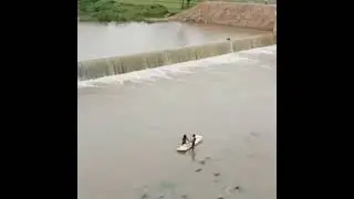 Munneru vagu water flow raising | Due to heavy rains|newly built dam|khammam