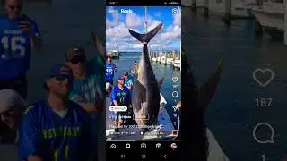 HUGE Bigeye Tuna! 🐟 vc: tp1three! #shorts #fishing #ocean #bigeye #score