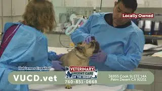 PSCM6296 2025 Desert Experts 30   Veterinary Urgent Care