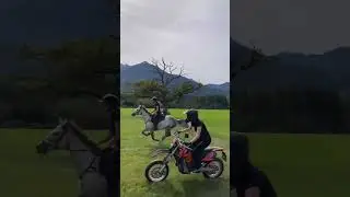 Horse racing with motorbike #horse