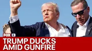 Video shows Trump stand up with blood on face after gunshots fired at rally