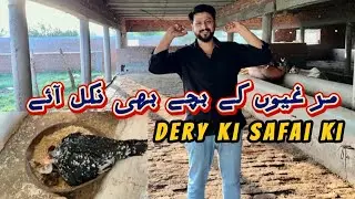 Dery ki safai ki | مرغیوں کے بچے بھی نکل آئے😍 | Mohsin’s life |