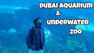 Dubai Aquarium & Underwater Zoo | A Walk Through the Ocean | Sharks, Rays & More!