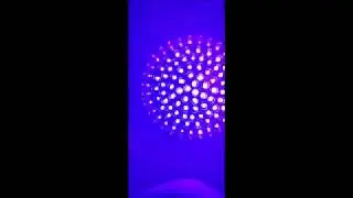 Linterna UV   YOUTHINK 100 LEDs 395 nm Linterna Ultravioleta, efect&iacute;vamente alucinas de huellas y su
