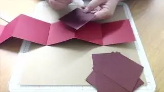 Concertina Box Card Assembly