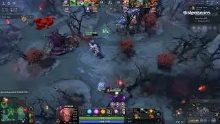 Gorgc reacts to Quinn's rank