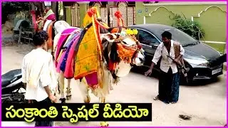 సంక్రాంతి స్పెషల్ వీడియో - Sankranthi Special Video | Gangireddu Melam | Gangireddu Dance