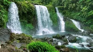 Gentle Night Waterfall Sounds | Silent Forest View | Deep Sleep & Mental Peace 🌌💦