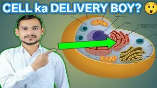 Endoplasmic Reticulum kya hota hai? 😲 | RER vs SER | Cell Biology Hindi
