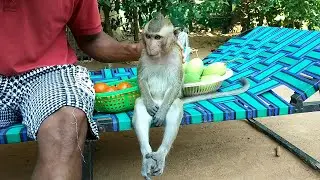 Shally Reply Small Sound Answer To Daddy, Doesn't Eat Milk And Fruit Well