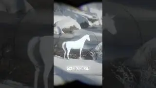 3 вещи, которые вы ОБЯЗАТЕЛЬНО должны сделать в начале Red Dead Redemption 2!